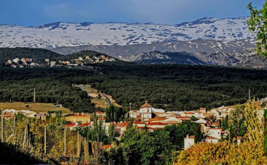 Apartamento Con Encanto En Granada, La Zubia Zewnętrze zdjęcie